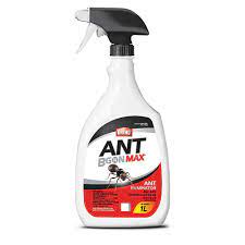 Ortho Ant BGon Max 1L
