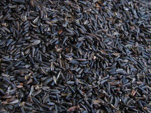 Nyjer Seed Ziploc ~1kg Bird Seed orgill 