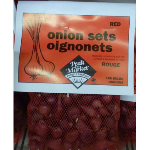 Red Onion Sets